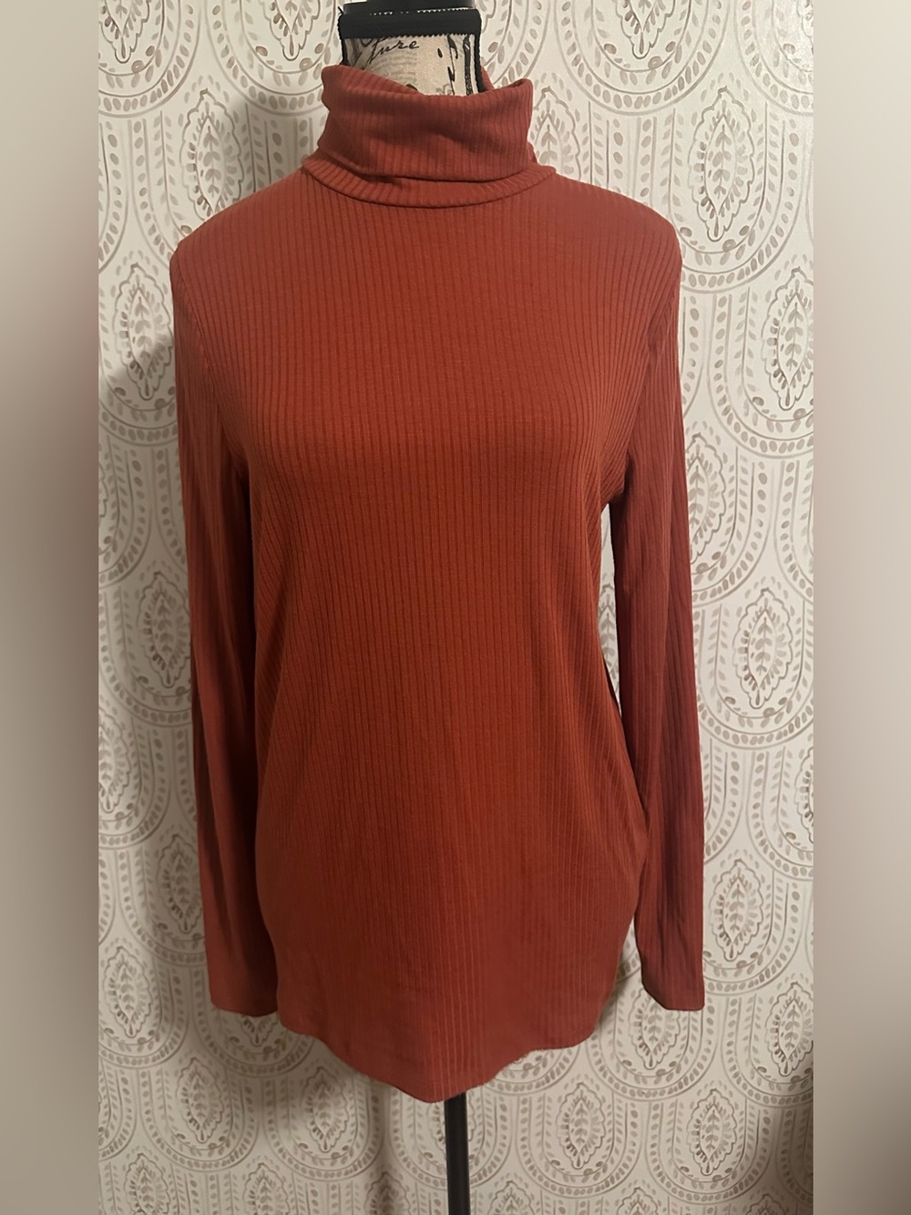 Madewell Ribbed Turtleneck Long Sleeve Top - Rust- only used once
